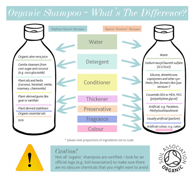 blød udstilling Derive organic-shampoo-infographic -