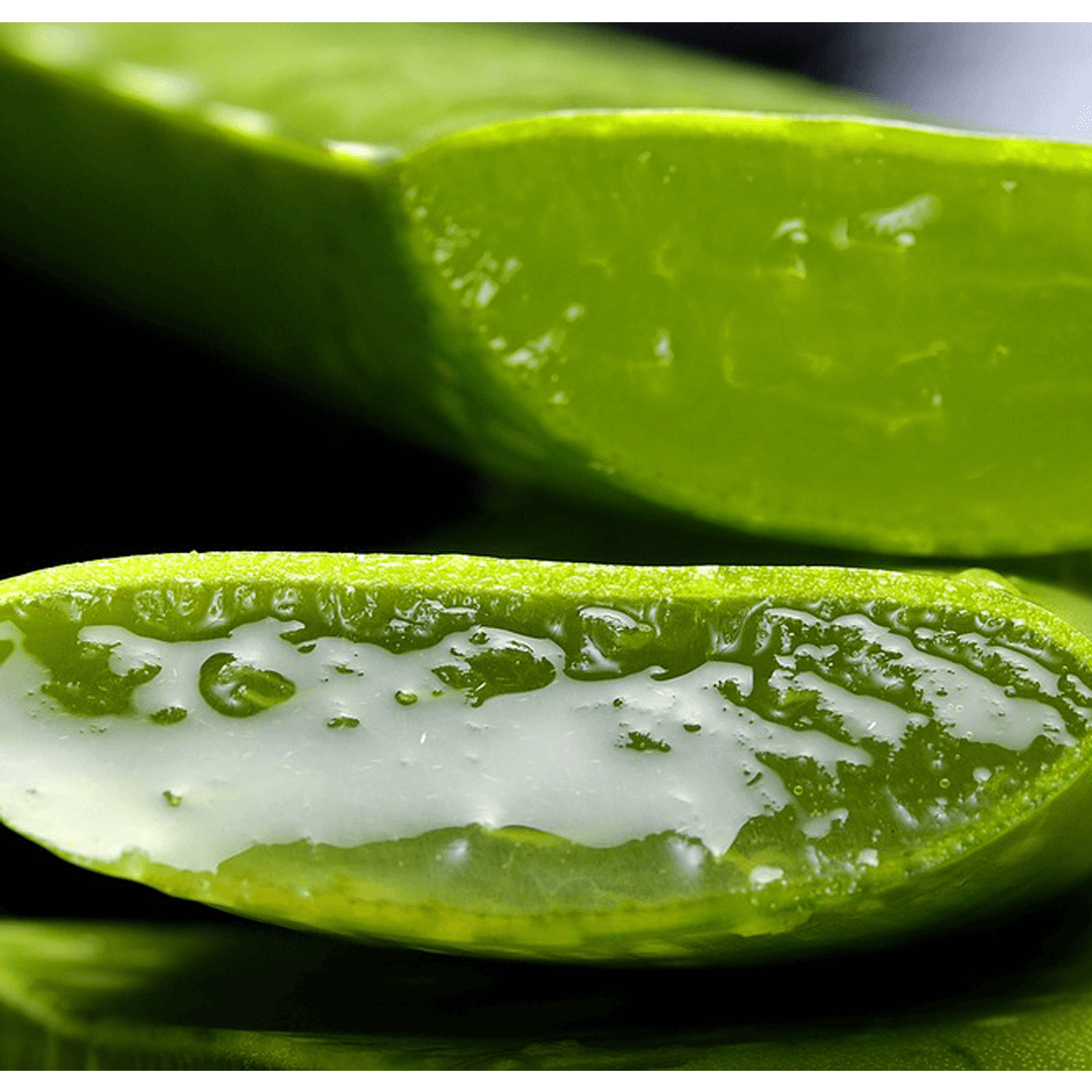 Is Aloe Vera Good for Eczema?