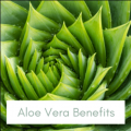 aloe-vera-benefits